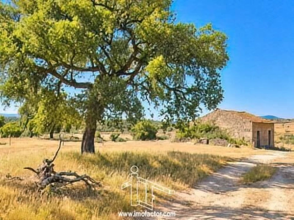 Quinta T0 para Venda em Idanha-A-Nova e Alcafozes Foto 1