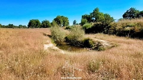 Quinta T0 para Venda em Idanha-A-Nova e Alcafozes