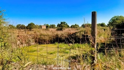 Quinta T0 para Venda em Idanha-A-Nova e Alcafozes