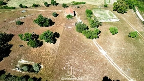 Quinta T0 para Venda em Idanha-A-Nova e Alcafozes