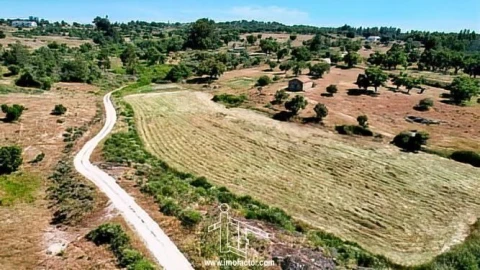 Quinta T0 para Venda em Idanha-A-Nova e Alcafozes