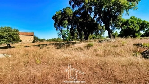 Quinta T0 para Venda em Idanha-A-Nova e Alcafozes