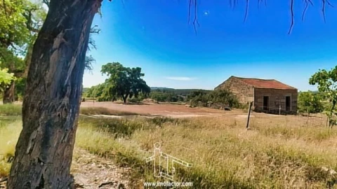 Quinta T0 para Venda em Idanha-A-Nova e Alcafozes
