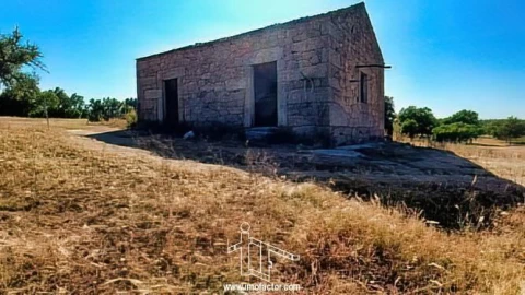 Quinta T0 para Venda em Idanha-A-Nova e Alcafozes