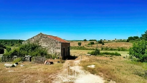 Quinta T0 para Venda em Idanha-A-Nova e Alcafozes