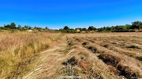 Quinta T0 para Venda em Idanha-A-Nova e Alcafozes