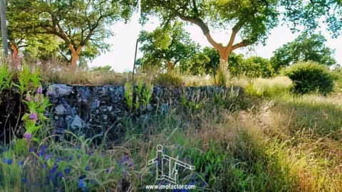 Quinta T0 para Venda em Idanha-A-Nova e Alcafozes