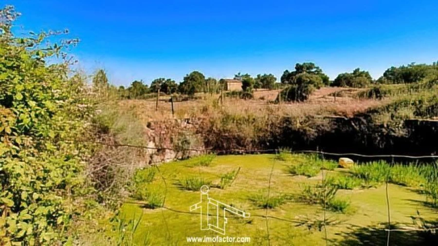Quinta T0 para Venda em Idanha-A-Nova e Alcafozes Foto 20