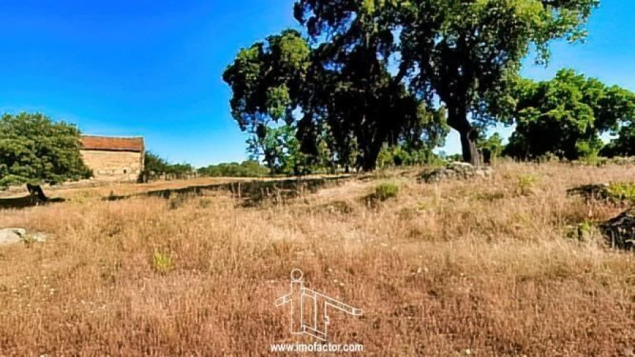 Quinta T0 para Venda em Idanha-A-Nova e Alcafozes Foto 7