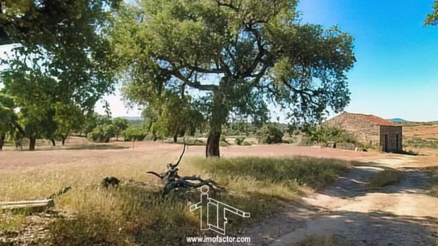 Quinta T0 para Venda em Idanha-A-Nova e Alcafozes Foto 6