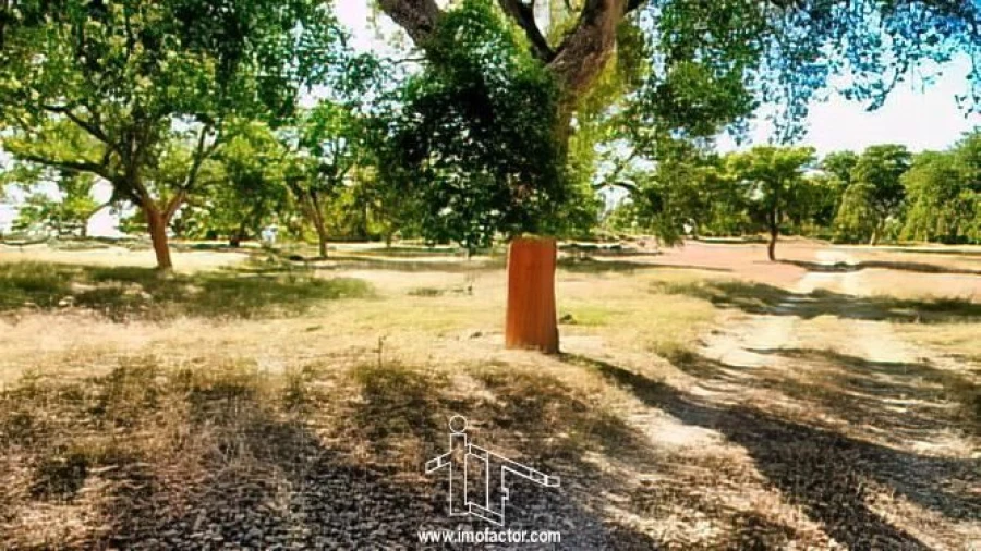 Quinta T0 para Venda em Idanha-A-Nova e Alcafozes Foto 22