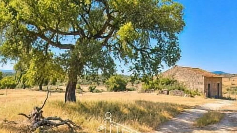Quinta T0 para Venda em Idanha-A-Nova e Alcafozes