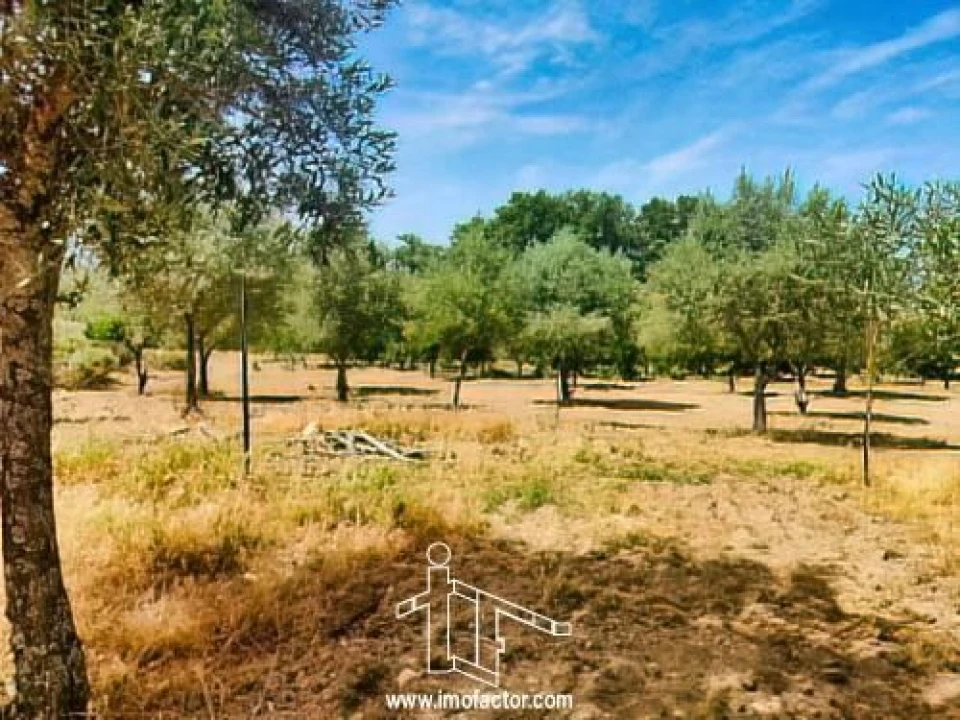 Quinta T0 para Venda em Idanha-A-Nova e Alcafozes Foto 20