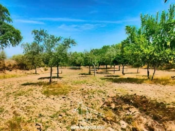 Quinta T0 para Venda em Idanha-A-Nova e Alcafozes