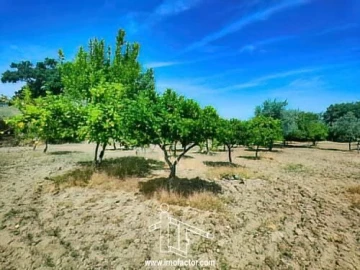 Quinta T0 para Venda em Idanha-A-Nova e Alcafozes