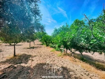 Quinta T0 para Venda em Idanha-A-Nova e Alcafozes