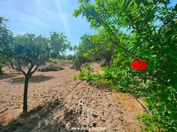 Quinta T0 para Venda em Idanha-A-Nova e Alcafozes