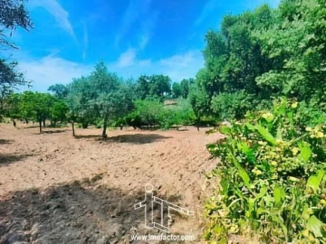 Quinta T0 para Venda em Idanha-A-Nova e Alcafozes