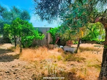 Quinta T0 para Venda em Idanha-A-Nova e Alcafozes