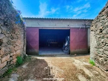 Quinta T0 para Venda em Idanha-A-Nova e Alcafozes