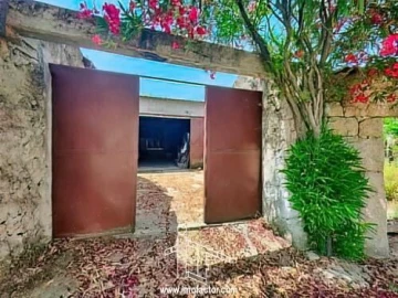 Quinta T0 para Venda em Idanha-A-Nova e Alcafozes