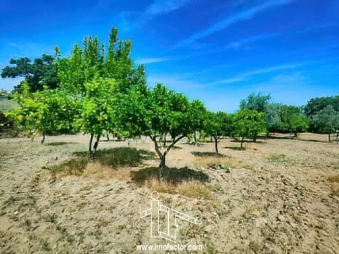 Quinta T0 para Venda em Idanha-A-Nova e Alcafozes Foto 16