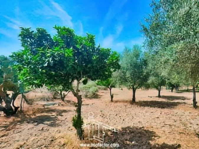 Quinta T0 para Venda em Idanha-A-Nova e Alcafozes Foto 13