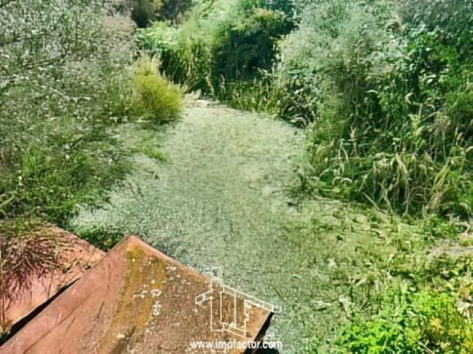 Quinta T0 para Venda em Idanha-A-Nova e Alcafozes Foto 10