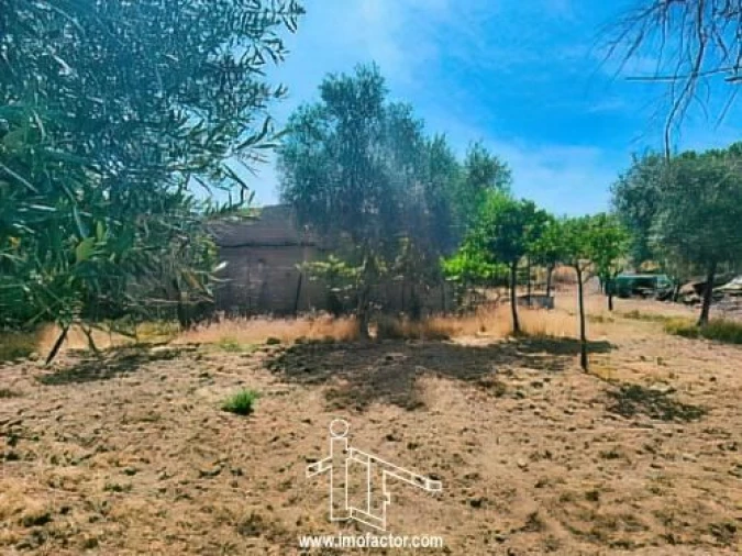 Quinta T0 para Venda em Idanha-A-Nova e Alcafozes Foto 6