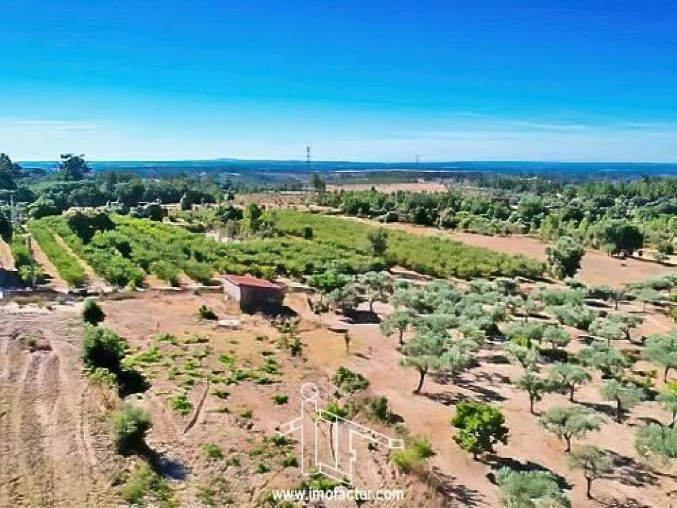 Quinta T0 para Venda em Vale de Prazeres e Mata da Rainha Foto 10