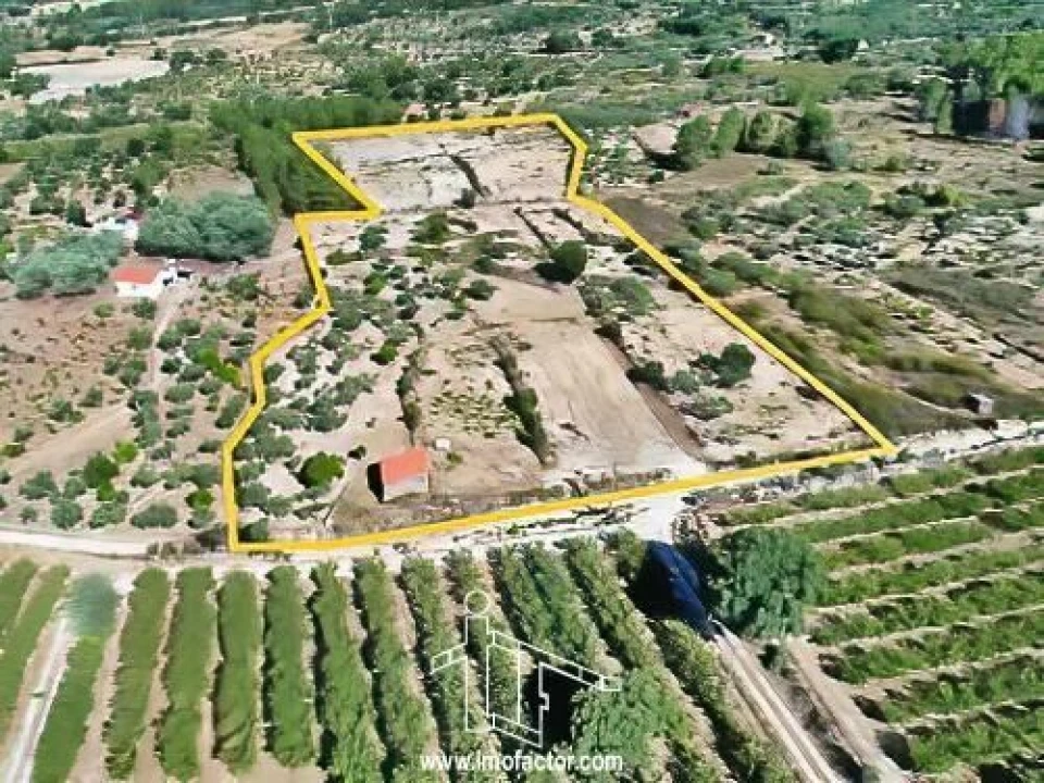 Quinta T0 para Venda em Vale de Prazeres e Mata da Rainha Foto 9