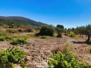 Quinta T0 para Venda em Vale de Prazeres e Mata da Rainha