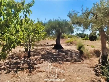 Quinta T0 para Venda em Vale de Prazeres e Mata da Rainha