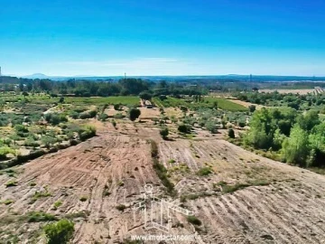 Quinta T0 para Venda em Vale de Prazeres e Mata da Rainha