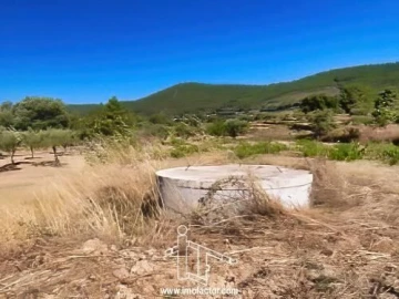 Quinta T0 para Venda em Vale de Prazeres e Mata da Rainha
