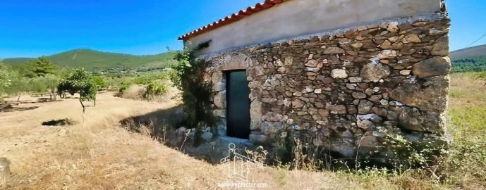 Quinta T0 para Venda em Vale de Prazeres e Mata da Rainha