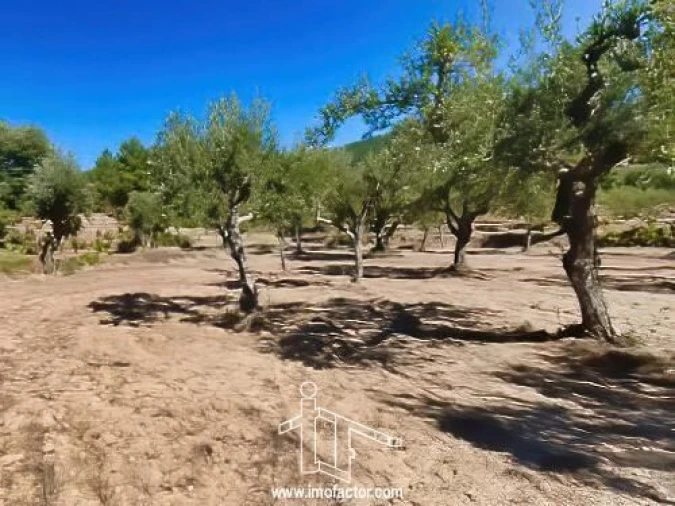 Quinta T0 para Venda em Vale de Prazeres e Mata da Rainha Foto 18
