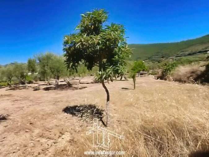 Quinta T0 para Venda em Vale de Prazeres e Mata da Rainha Foto 17