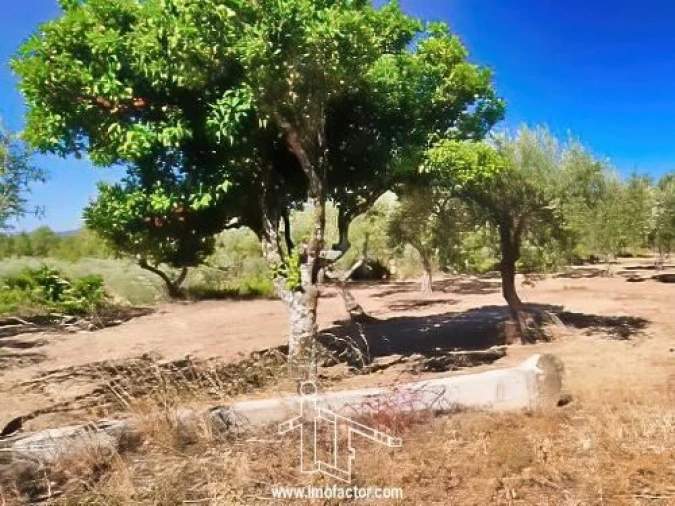 Quinta T0 para Venda em Vale de Prazeres e Mata da Rainha Foto 15