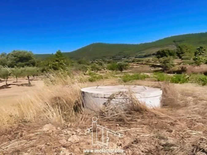 Quinta T0 para Venda em Vale de Prazeres e Mata da Rainha Foto 12