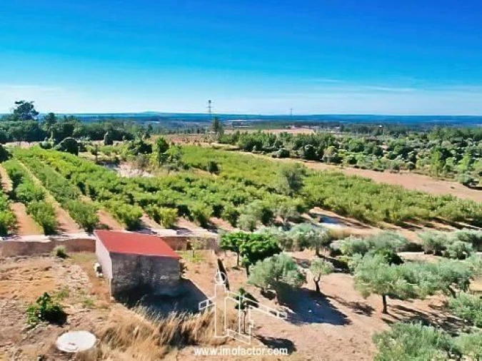 Quinta T0 para Venda em Vale de Prazeres e Mata da Rainha Foto 11