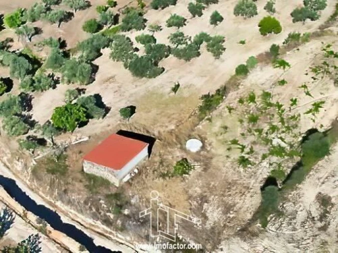Quinta T0 para Venda em Vale de Prazeres e Mata da Rainha Foto 7