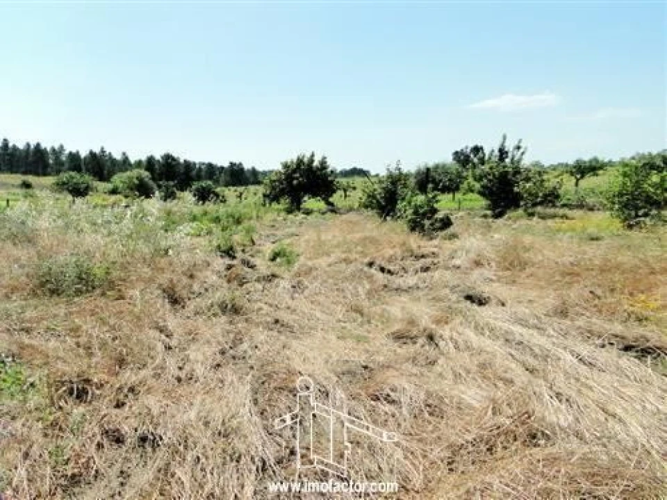 Quinta T0 para Venda em Freixial e Juncal do Campo Foto 19