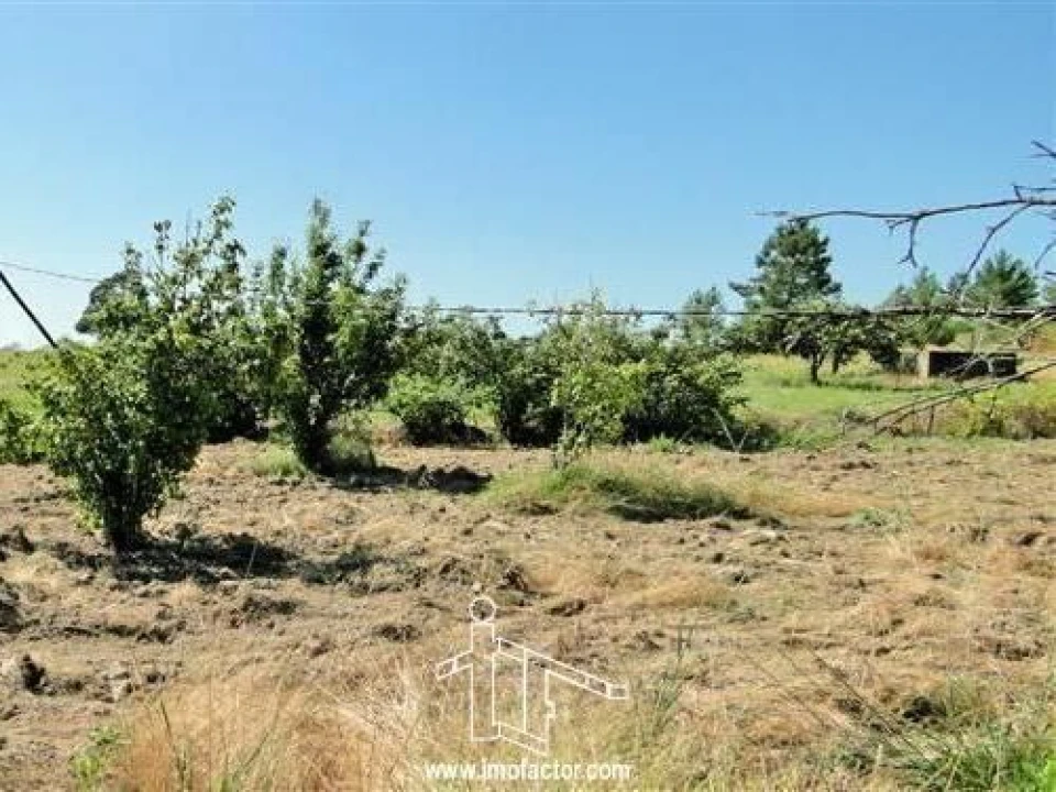 Quinta T0 para Venda em Freixial e Juncal do Campo Foto 18