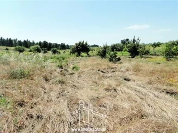 Quinta T0 para Venda em Freixial e Juncal do Campo