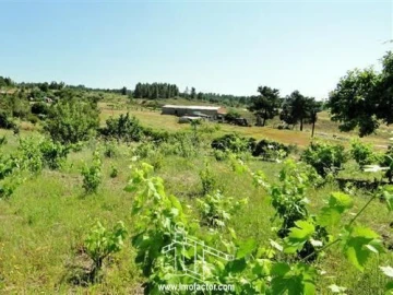 Quinta T0 para Venda em Freixial e Juncal do Campo