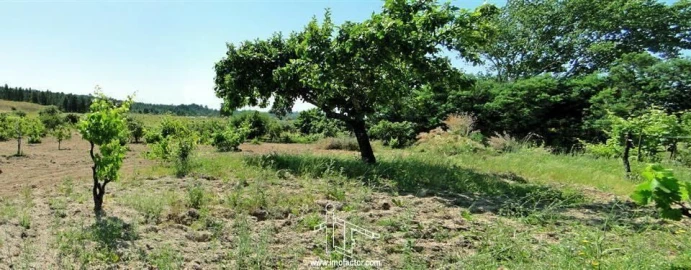 Quinta T0 para Venda em Freixial e Juncal do Campo