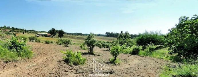 Quinta T0 para Venda em Freixial e Juncal do Campo