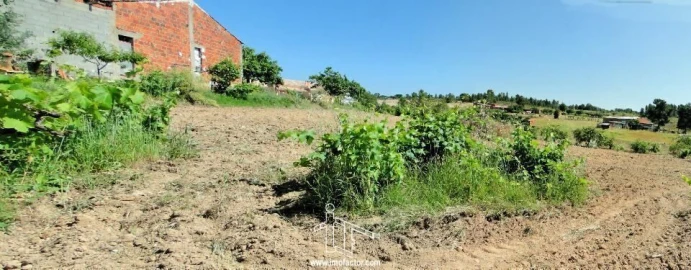 Quinta T0 para Venda em Freixial e Juncal do Campo