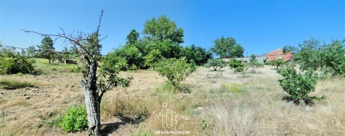 Quinta T0 para Venda em Freixial e Juncal do Campo